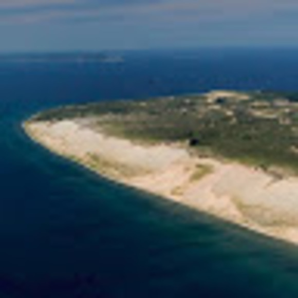 Meet your Posher, Pamela - Picture 1 of 1